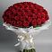 Букет 101 Красная роза Блэк Мэджик в Шуе