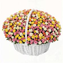 Премиум букет из: Розы в Шуе