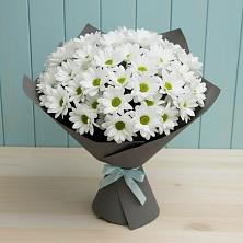 Букет цветов из:  Хризантемы в Шуе