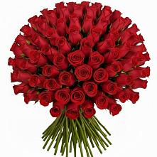 Букет Красные розы Чери Лав #REPLACE_PRED# Шуе